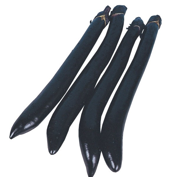 種 野菜たね ナス 博多長なす 1袋(1ml)