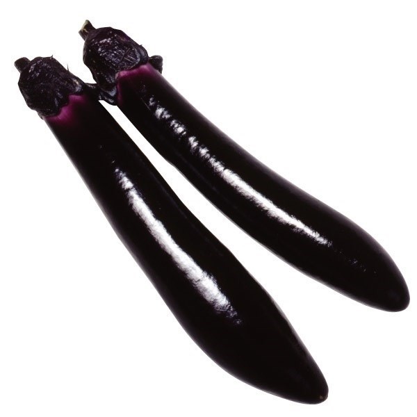 種 野菜たね ナス 久留米大長茄子 1袋(1ml)