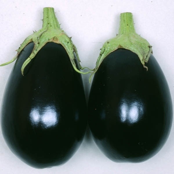 種 野菜たね ナス F1くろすけ 1袋(5粒)