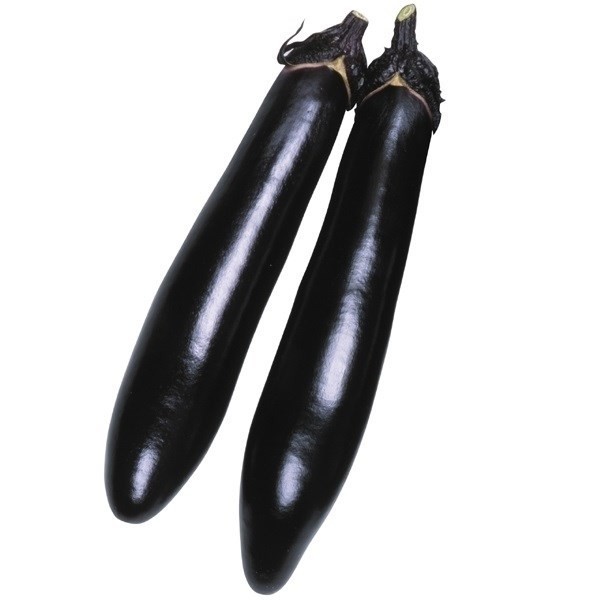 種 野菜たね ナス F1早生黒流 1袋(0.5ml)