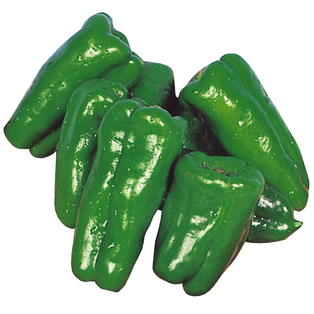 種 野菜たね ピーマン 金賞早生 1袋(2ml)