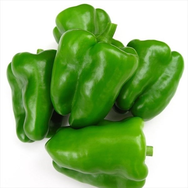 種 野菜たね ピーマン 早生埼玉ピーマン 1袋(0.5ml)