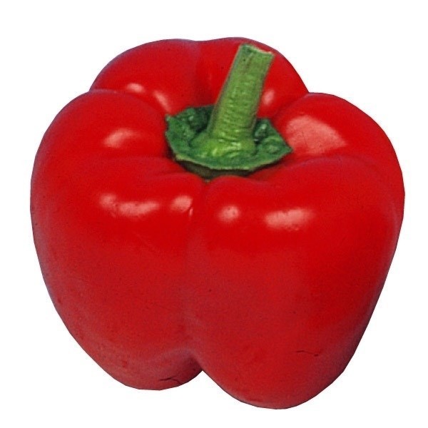 種 野菜たね ピーマン カリフォルニアワンダー 1袋(1ml)