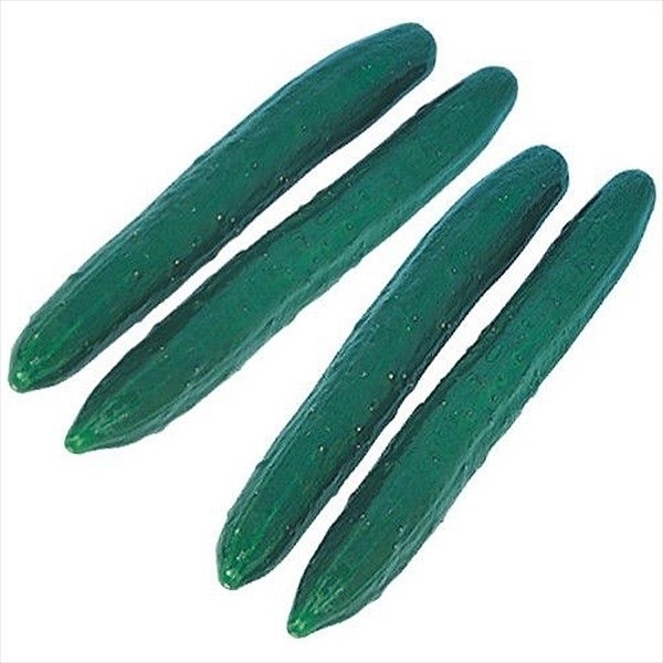 種 野菜たね キュウリ 加賀節成きゅうり 1袋(1ml)