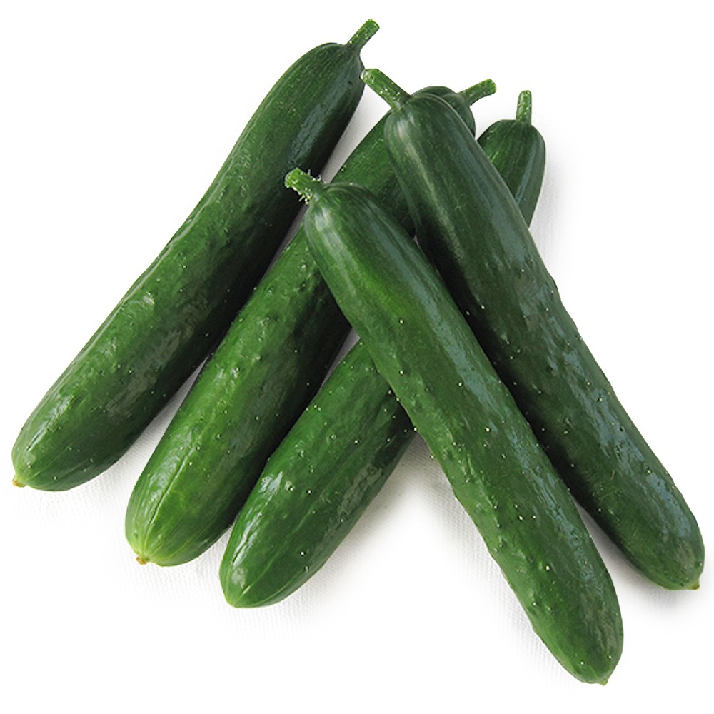 種 野菜たね キュウリ F1なるたろう 1袋(5粒)