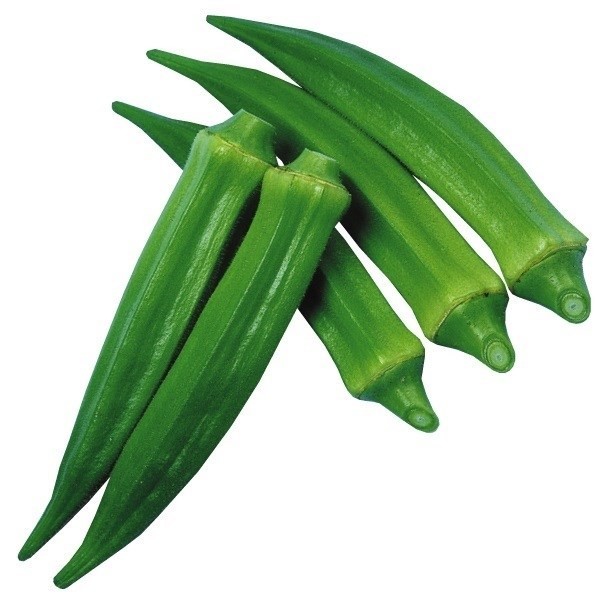 種 野菜たね オクラ F1スターブライト 1袋(5ml)