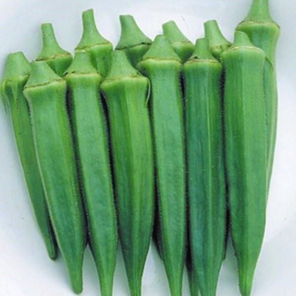 種 野菜たね オクラ 東京五角 1袋(5ml)