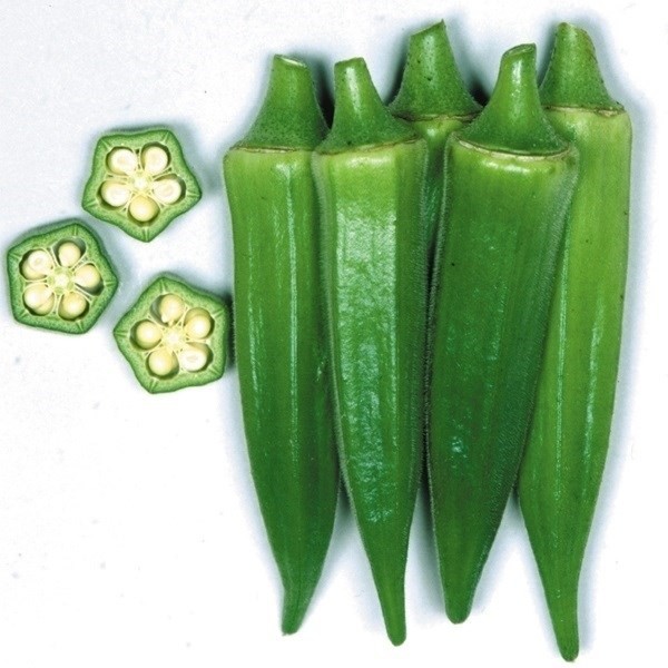 種 野菜たね オクラ F1オクラ 1袋(5ml)