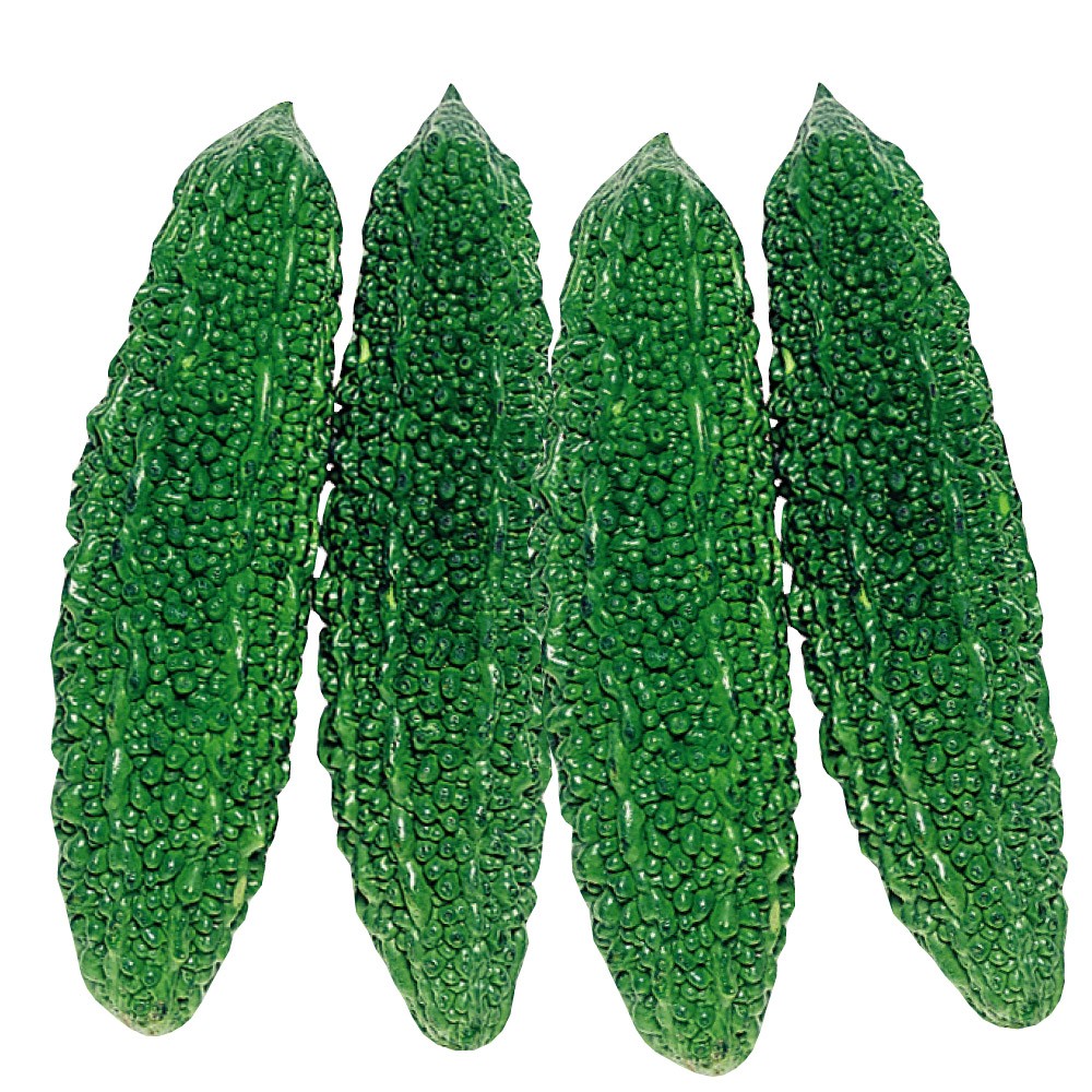 種 野菜たね ゴーヤ 太苦瓜（れいし) 1袋(10ml)