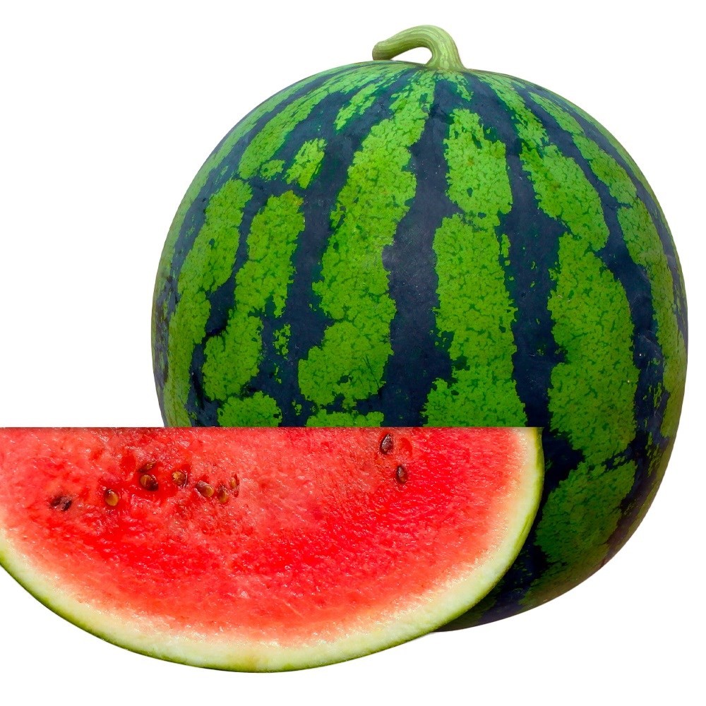 種 野菜たね スイカ F1改良夏大臣 1袋(8粒)