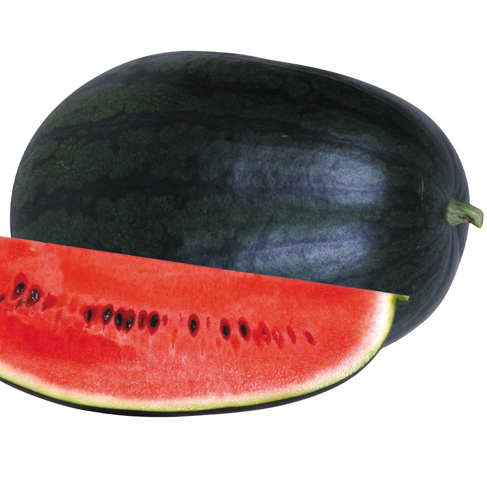 種 野菜たね スイカ F1かんたすいか 1袋(5粒)