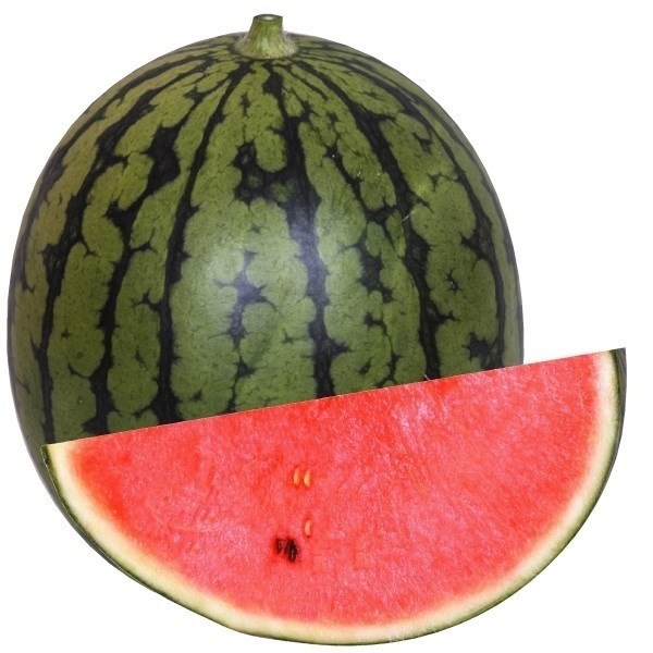 種 野菜たね スイカ F1優秀食べ切りすいか 1袋(5粒)