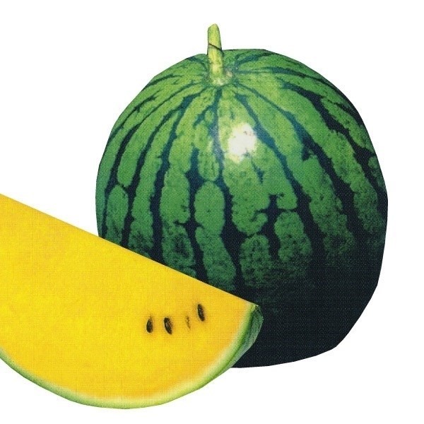 種 野菜たね スイカ F1黄金さむらい 1袋(8粒)