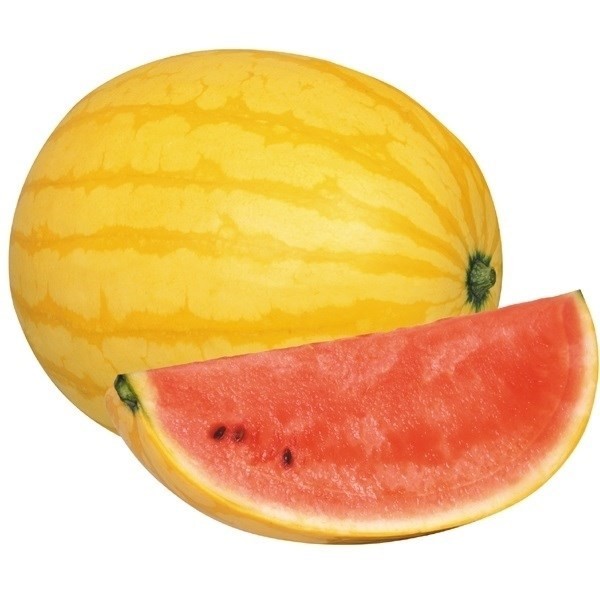 種 野菜たね スイカ F1ハッピーイエロー 1袋(5粒)