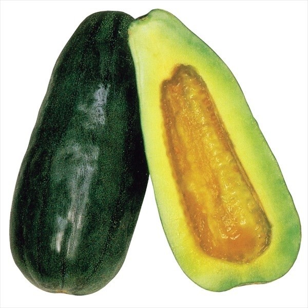 種 野菜たね ウリ 黒うり 1袋(1ml)