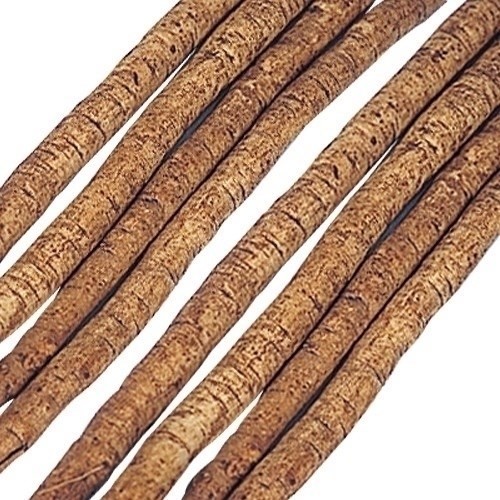 種 野菜たね ゴボウ 滝の川大長ごぼう 1袋(8ml)