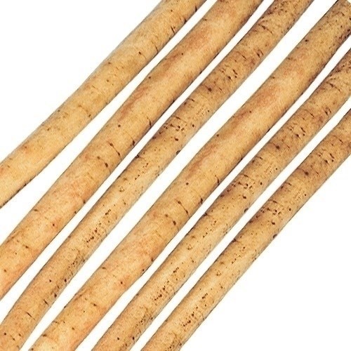 種 野菜たね ゴボウ 渡辺早生ごぼう 1袋(8ml)