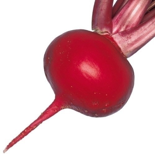 種 野菜たね カブ F1赤福大臣 1袋(2ml)