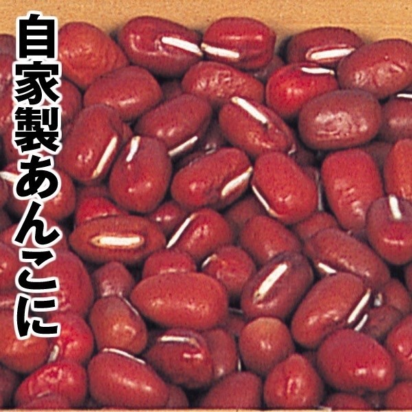 種 野菜たね マメ あずき 1袋(30ml)