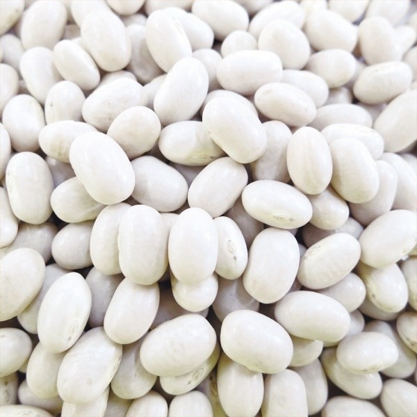 種 野菜たね マメ 手亡 1袋(20ml)