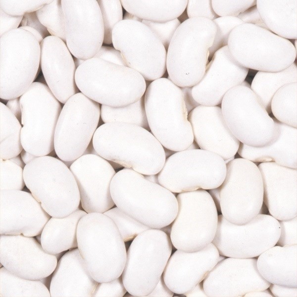 種 野菜たね マメ 白花豆 1袋(8粒)