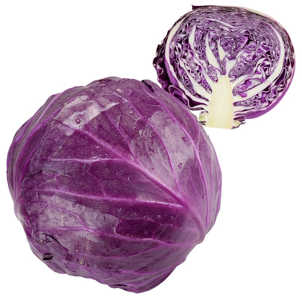 種 野菜たね キャベツ F1レッドボールキャベツ 1袋(0.5ml)