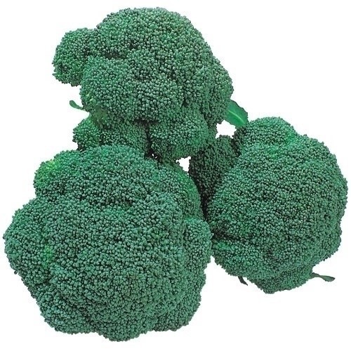 種 野菜たね ブロッコリー F1ホームブロッコリー 1袋(0.5ml)