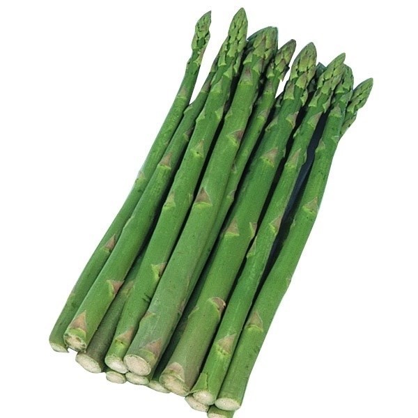 種 野菜たね 健康野菜 グリーンアスパラ 1袋(4ml)