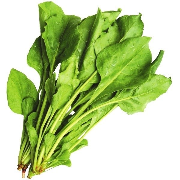 種 野菜たね 健康野菜 山ほうれん草 1袋(15ml)