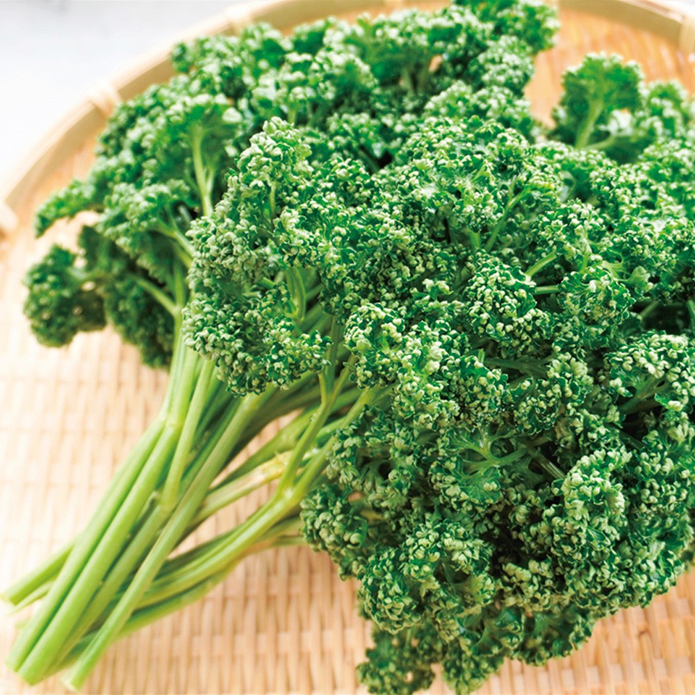 種 野菜たね 健康野菜 パセリ モスカ―ルド 1袋(5ml)