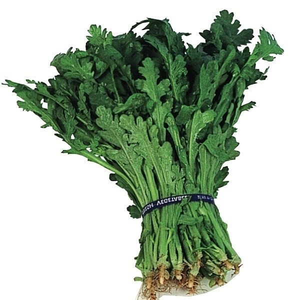 種 野菜たね 健康野菜 株張り中葉春菊 1袋(30ml)