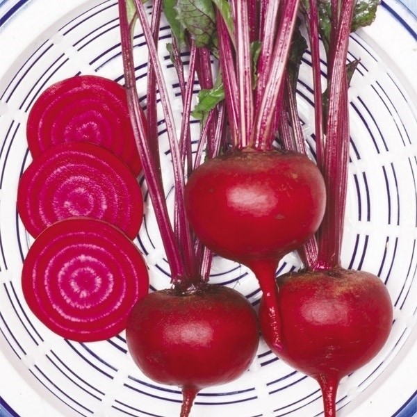 種 野菜たね 健康野菜 ビーツ デトロイト・ダークレッド 1袋(5ml)