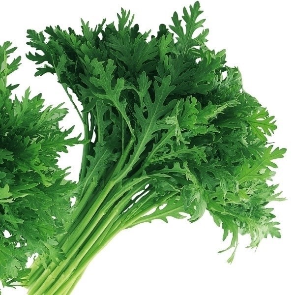 種 野菜たね 健康野菜 スティック春菊 1袋(15ml)