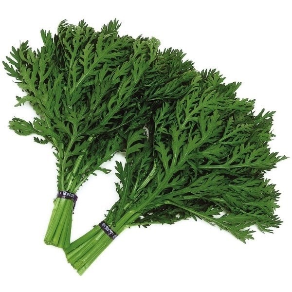 種 野菜たね 健康野菜 摘み取り中葉春菊 1袋(20ml)