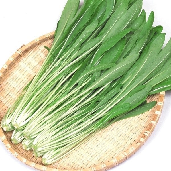 種 野菜たね 健康野菜 F1早生サラみぶな 1袋(2ml)