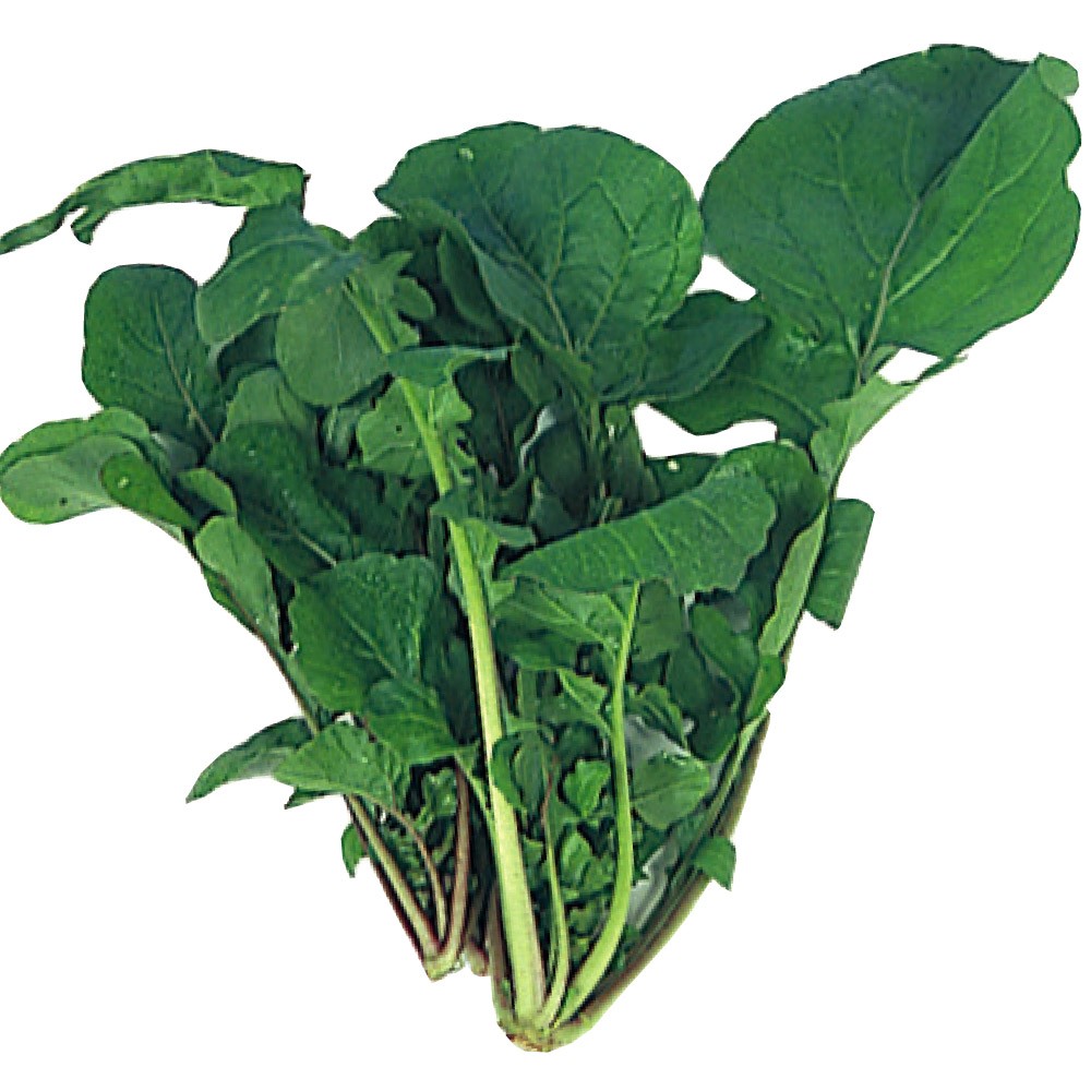 種 野菜たね ハーブ ロケット（ルッコラ) 1袋(4ml)