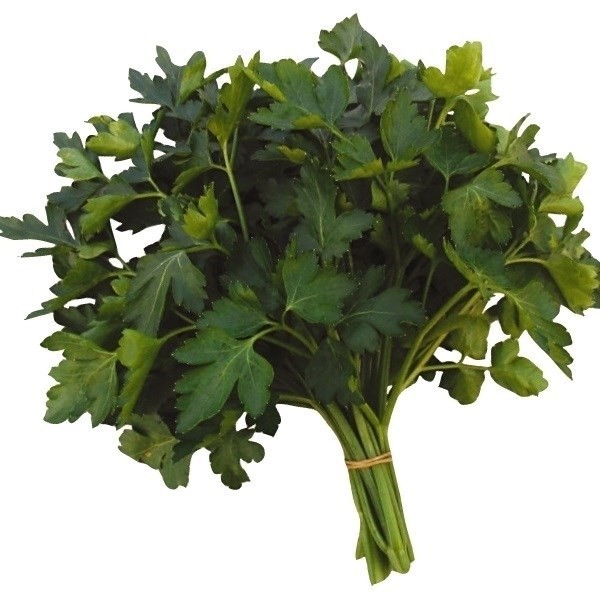 種 野菜たね ハーブ イタリアンパセリ ジャイアント 1袋(5ml)