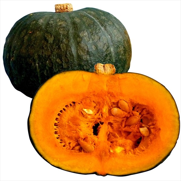 種 野菜たね カボチャ F1ぬくもり南瓜 1袋(10粒)