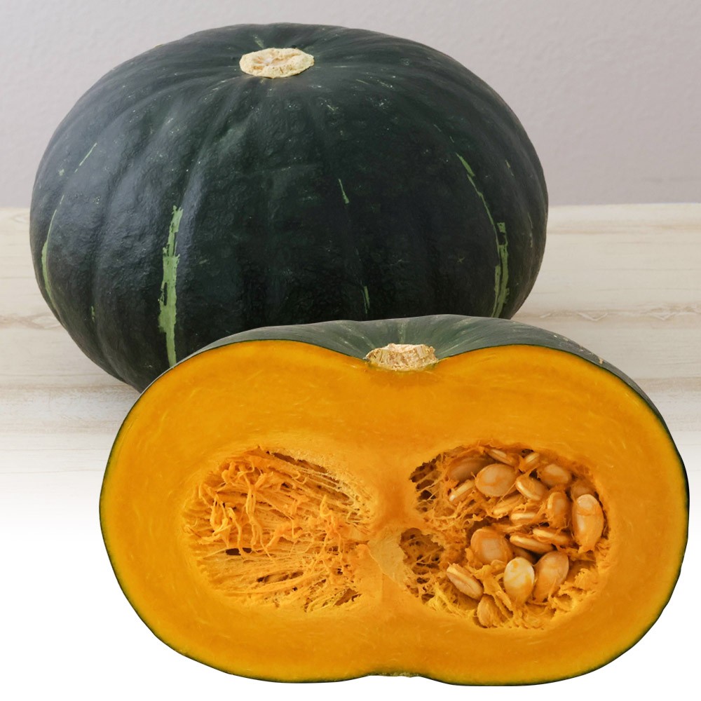 種 野菜たね カボチャ F1満天大黒R 1袋(7粒)