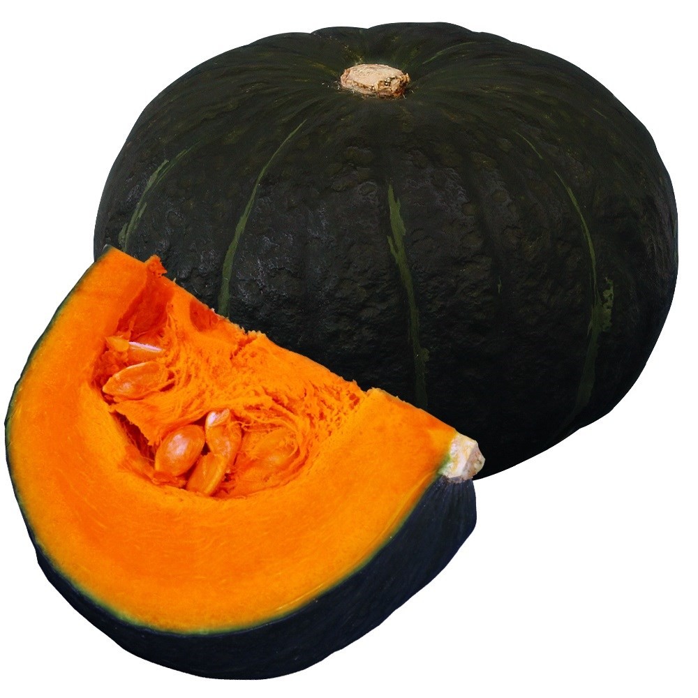 種 野菜たね カボチャ F1ハニーブラウン 1袋(11粒)