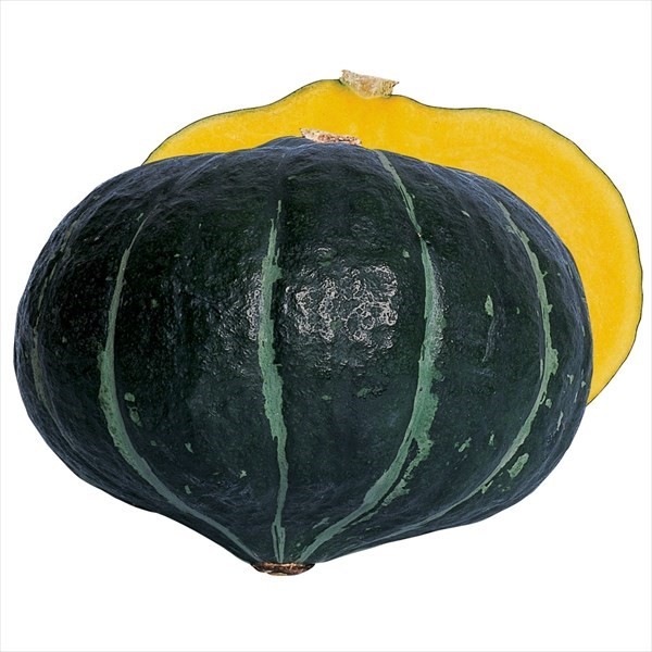 種 野菜たね カボチャ F1ほっとけ栗たん PVP 1袋(8粒)