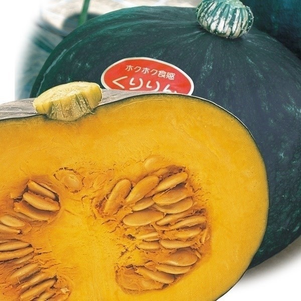種 野菜たね カボチャ F1くりりん 1袋(9粒)