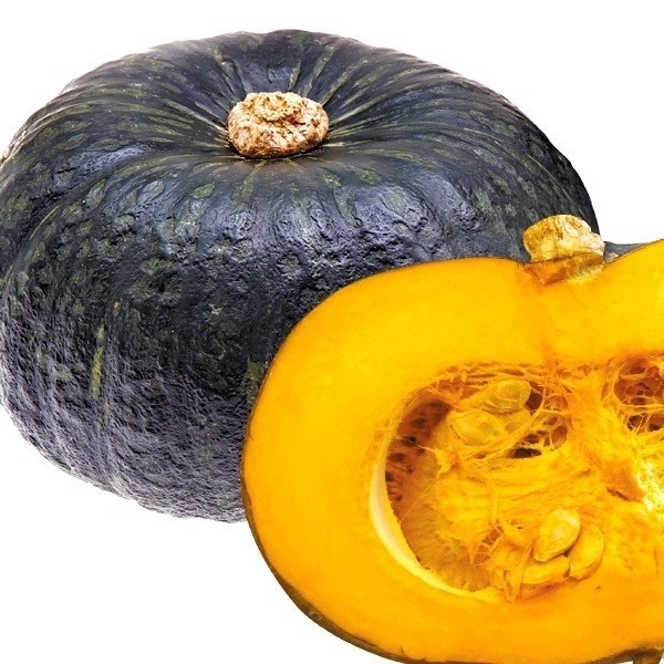 種 野菜たね カボチャ F1マロンスター 1袋(10粒)