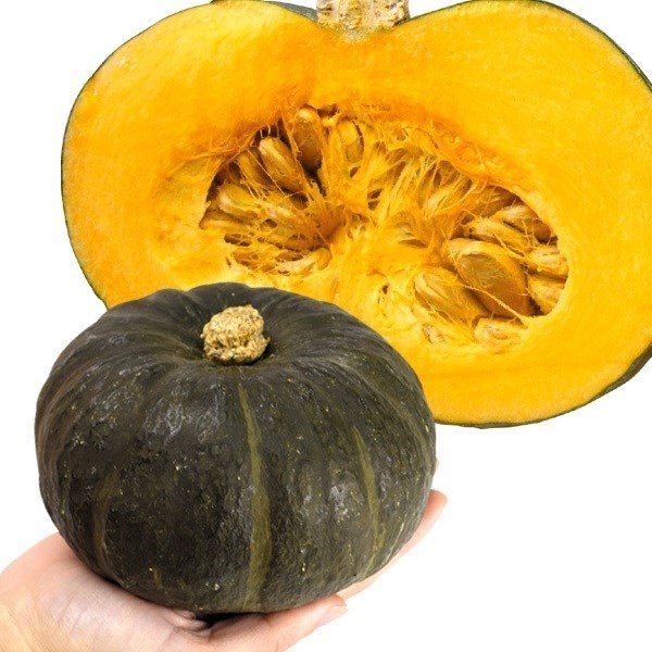 種 野菜たね カボチャ F1マロン 1袋(10粒)