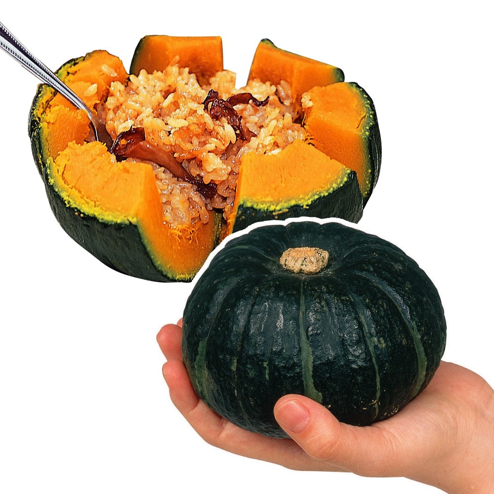 種 野菜たね カボチャ F1ポシェットEX 1袋(6粒)