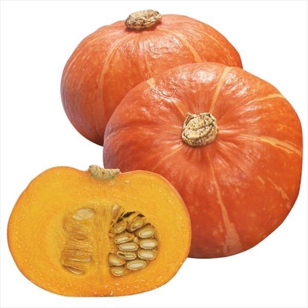 種 野菜たね カボチャ F1赤い坊ちゃん（赤坊) 1袋(5粒)