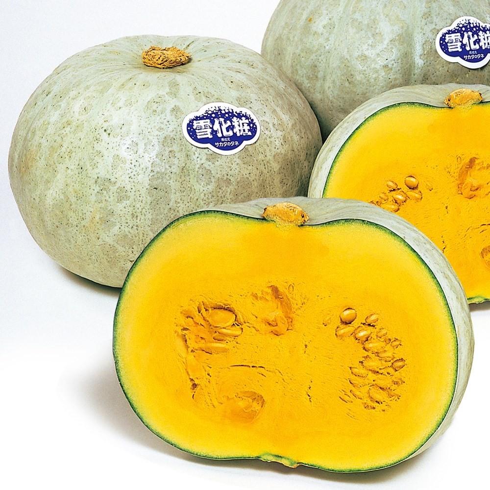 種 野菜たね カボチャ F1雪化粧R 1袋(8粒)
