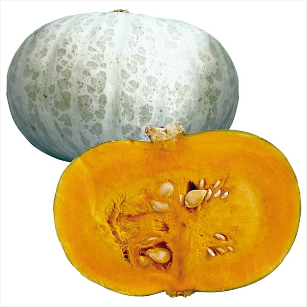 種 野菜たね カボチャ F1ぼたんゆき南瓜 1袋(10粒)