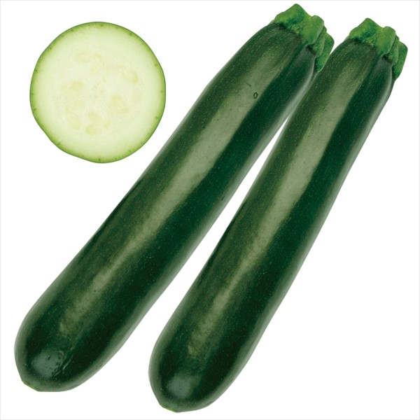 種 野菜たね ズッキーニ F1ゼルダ・ネロ 1袋(10粒)