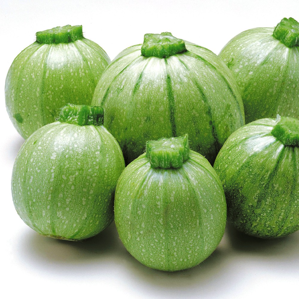 種 野菜たね ズッキーニ F1グリーンエッグ 1袋(8粒)